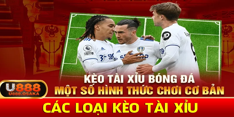Các loại tài xỉu phổ biến cho người chơi cá cược